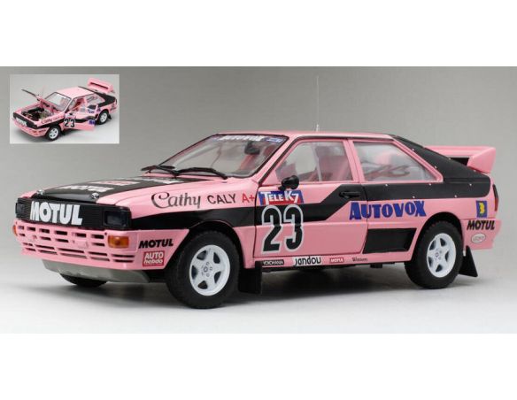 SUNSTAR SS4251 AUDI QUATTRO N.23 FRENCH RALLYCROSS 1987 CATHY CALY 1:18 Modellino